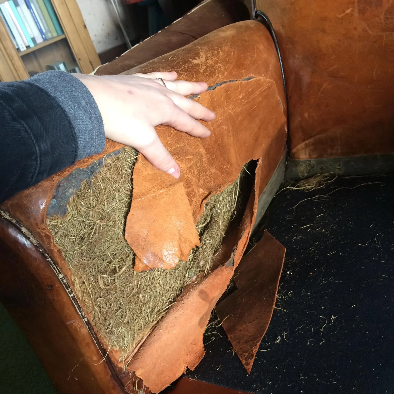 Antique French leather armchairs in damaged condition before restoration