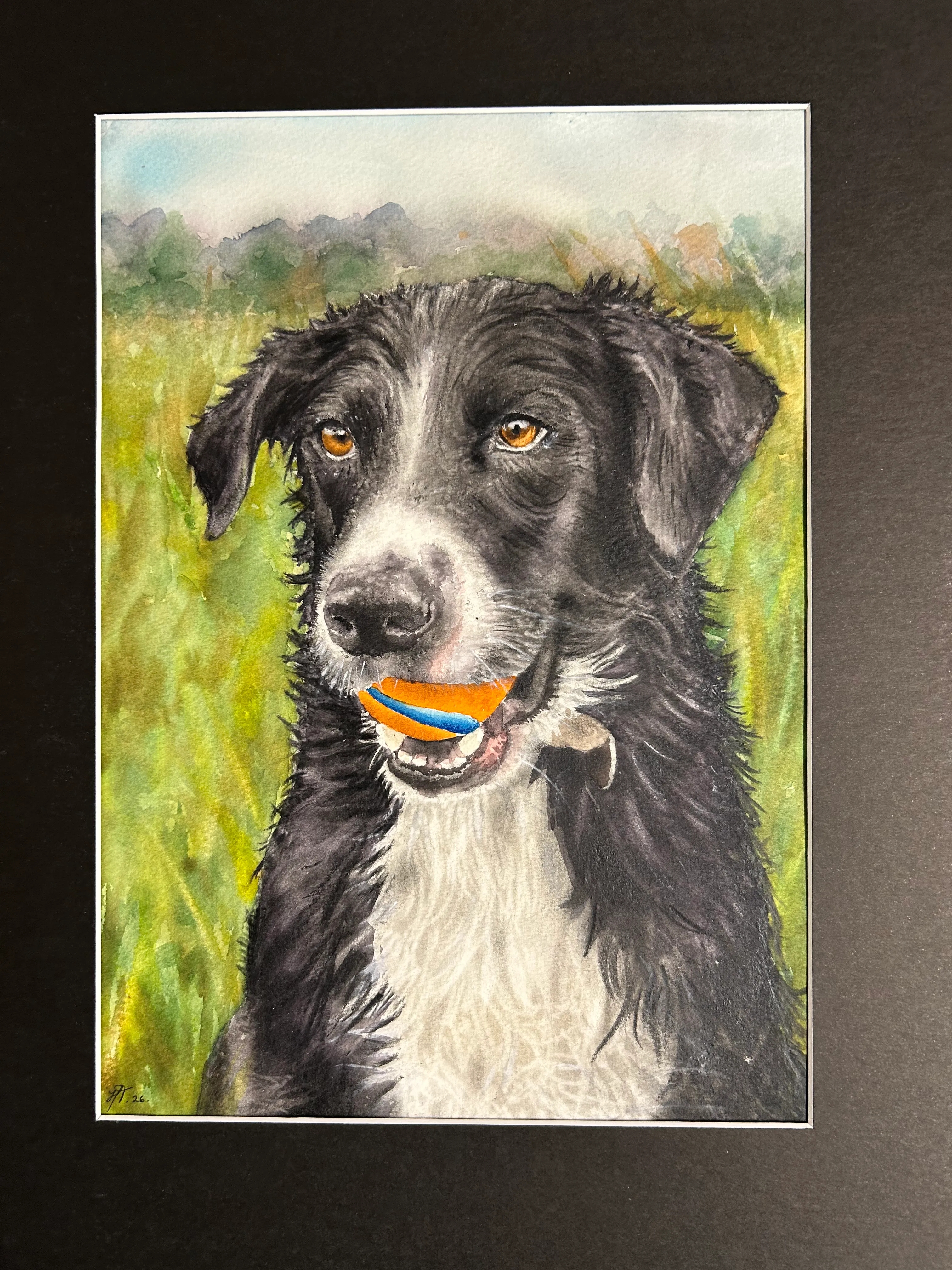 Pet portrait by Helena Tudgay