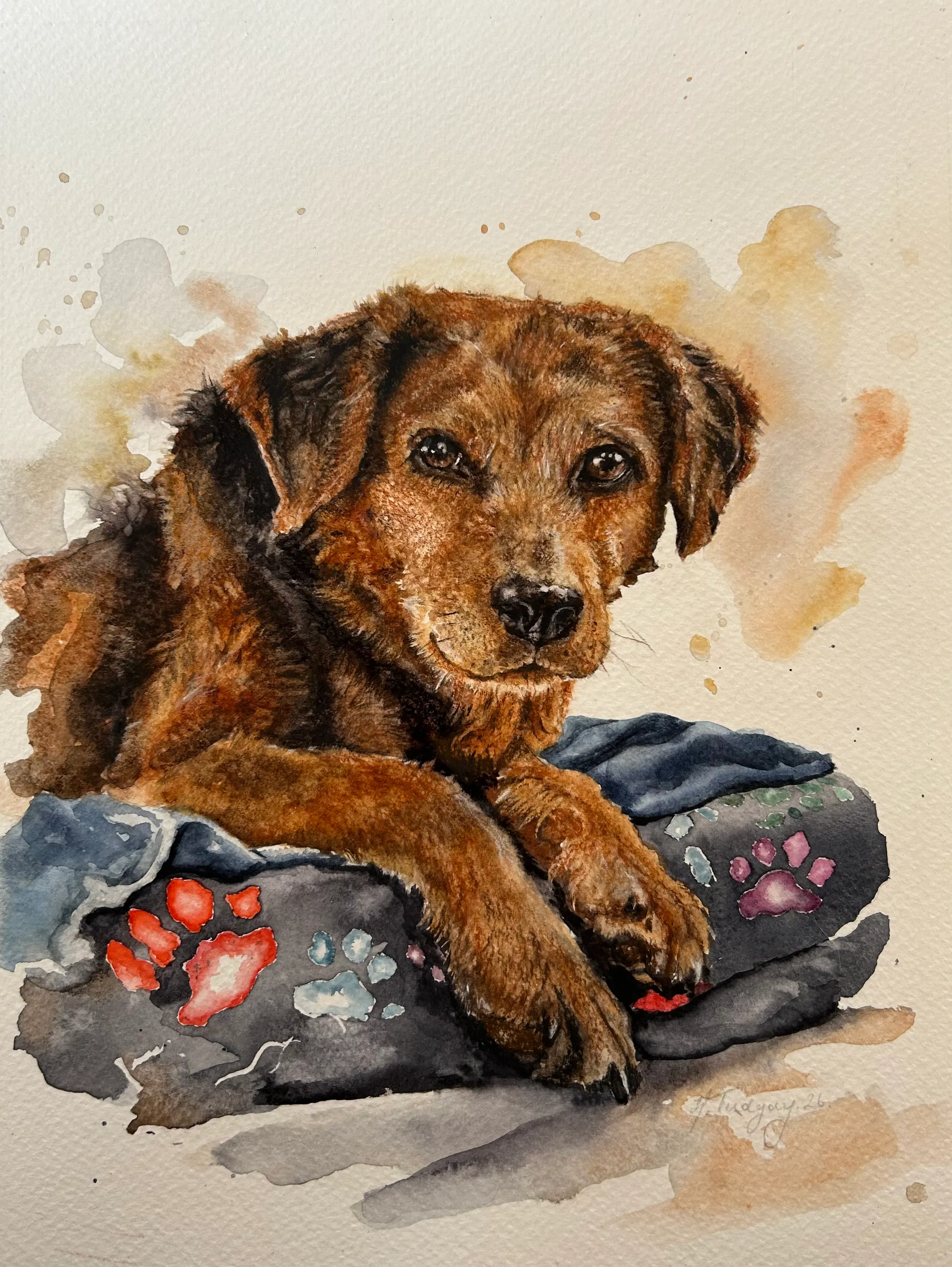 Pet portrait by Helena Tudgay